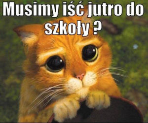 Memy na Dzień Dziecka 2020 - czyli cała prawda o rodzicielstwie. Zobacz najzabawniejsze!