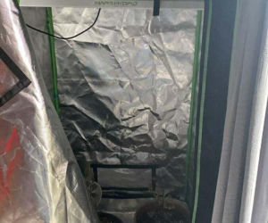 Zabezpieczał imprezę, został kopnięty w twarz. Długa lista zarzutów dla 29-latka z gminy Piaski