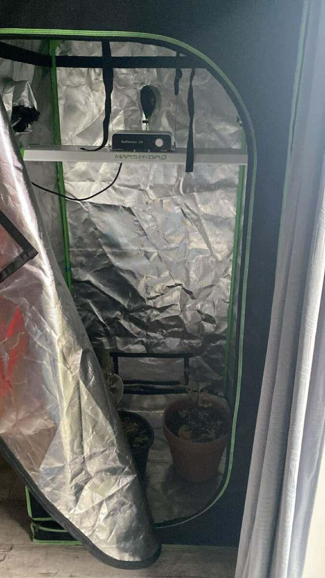 Zabezpieczał imprezę, został kopnięty w twarz. Długa lista zarzutów dla 29-latka z gminy Piaski