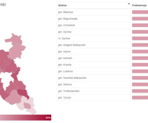 Powiat rzeszowski frekwencja Wybory 2020