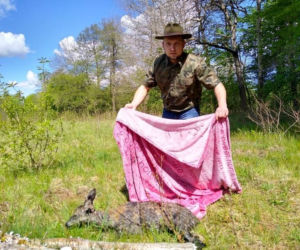 Myśliwi uratowali sarenkę