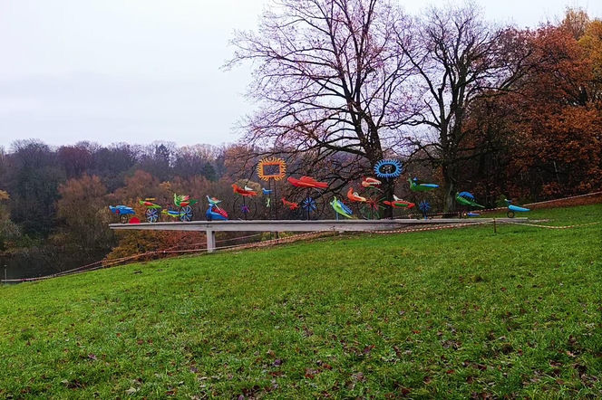 "Ogniste Ptaki" w Parku Kasprowicza w Szczecinie