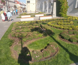 Rzeszów stroi się jesienią