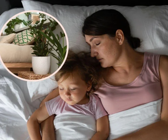 Masz płytki sen? Tych 5 roślin poprawia mikroklimat w sypialni