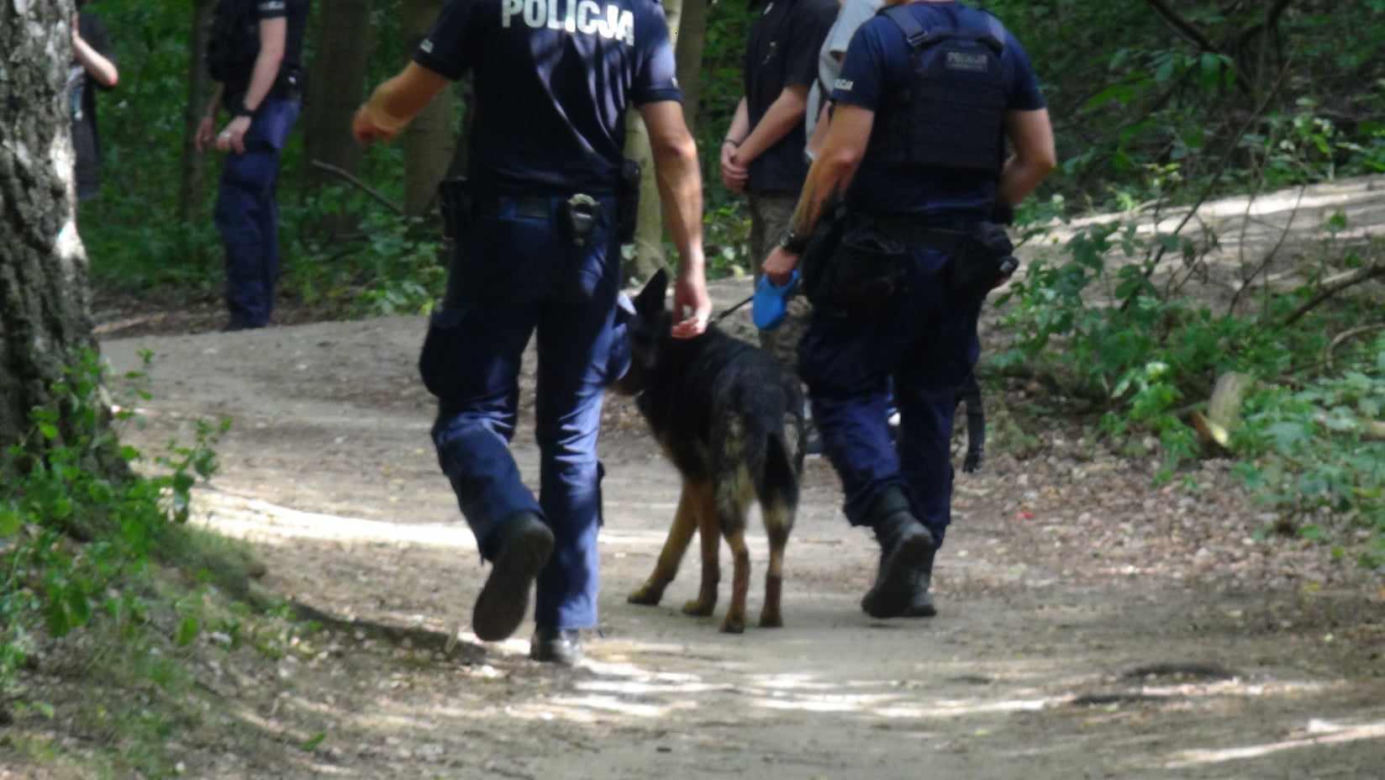 Atak nożownika w Lesie Bródnowskim