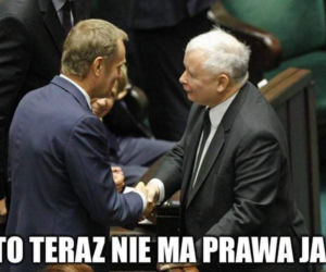 Policja zatrzymała prawo jazdy Tuska. Najlepsze memy