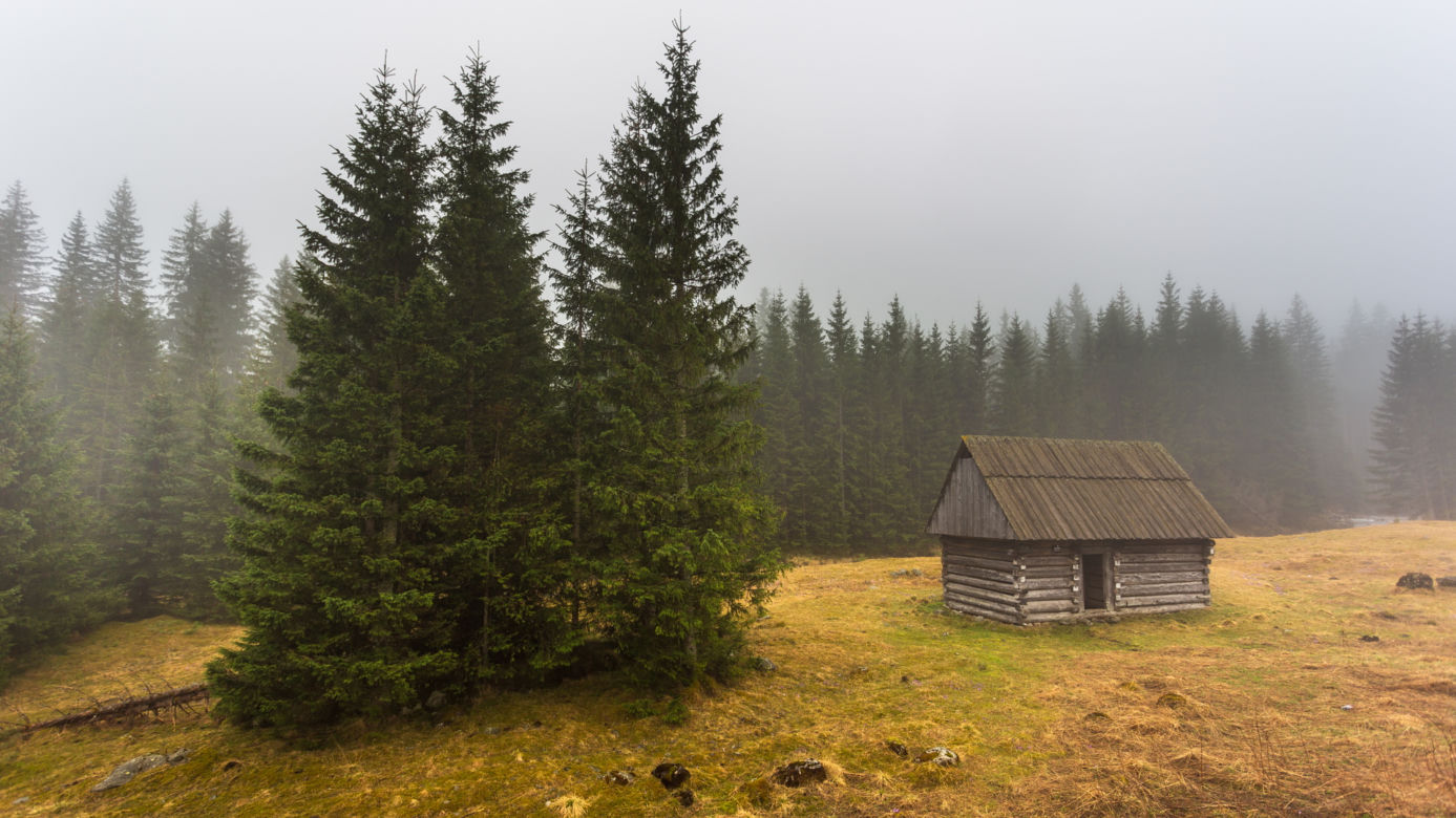 Burza nad Tatrami. Piorun zabił 11 owiec