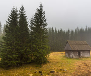 Burza nad Tatrami. Piorun zabił 11 owiec