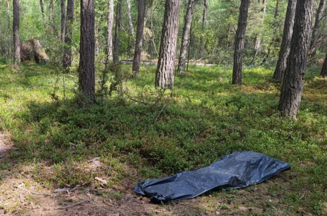 Tragedia podczas wycinki drzew. Olbrzymi konar zmiażdżył Pawła w lesie