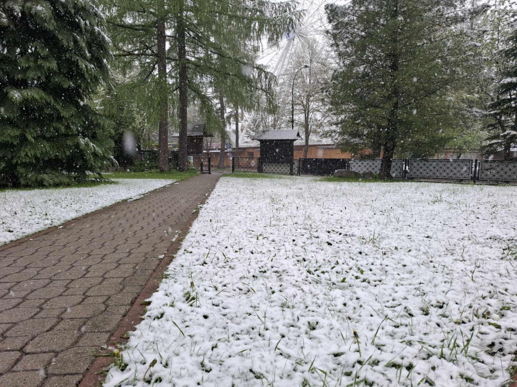Śnieżyca w Małopolsce. Atak zimy w połowie maja!