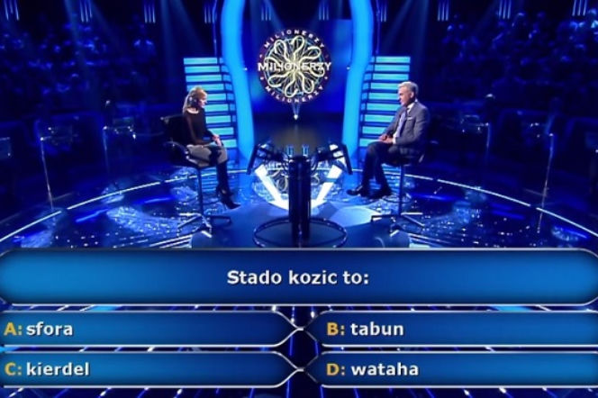 Stado kozic to? Pytanie w Milionerach zaskoczyło uczestniczkę