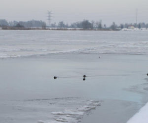 Lodołamacze wyruszają na Odrę