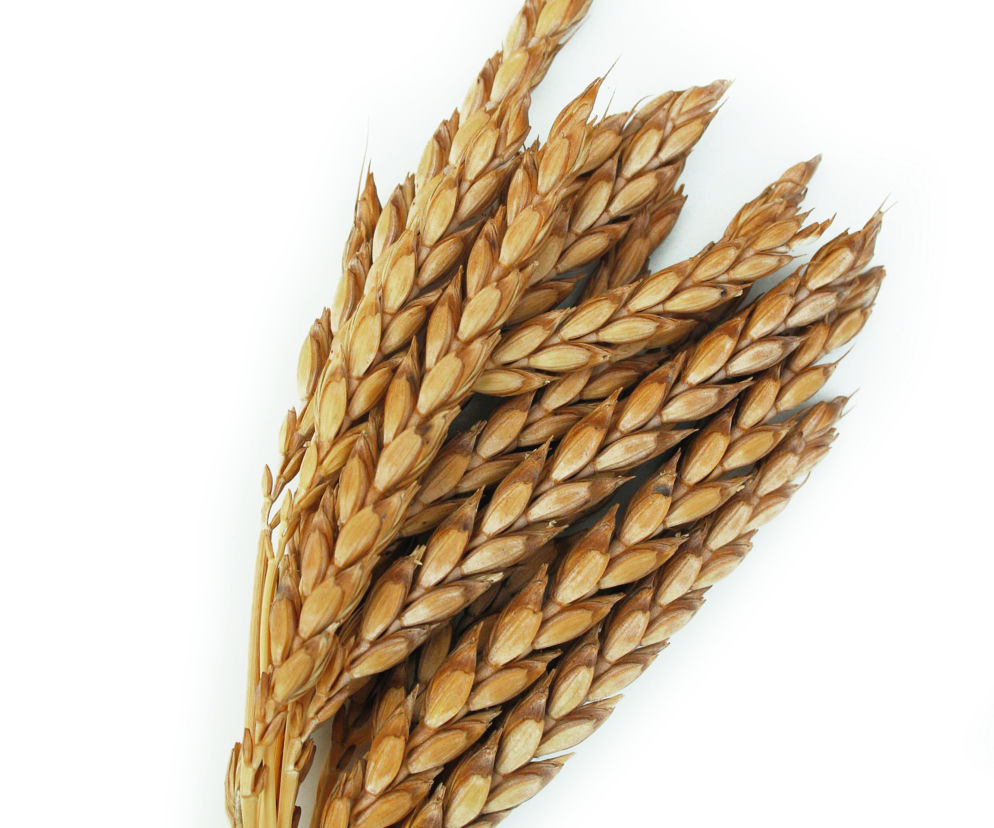 Zupa orkiszowa