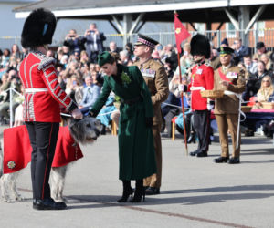 Księżna Kate cała w zieleni na Dniu Świętego Patryka! Dobrze wyglądała?