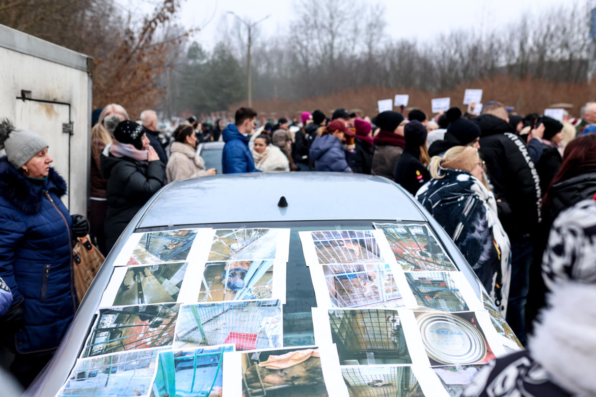 Miał być protest milczenia, doszło do awantury. Gorąco pod schroniskiem w Bytomiu