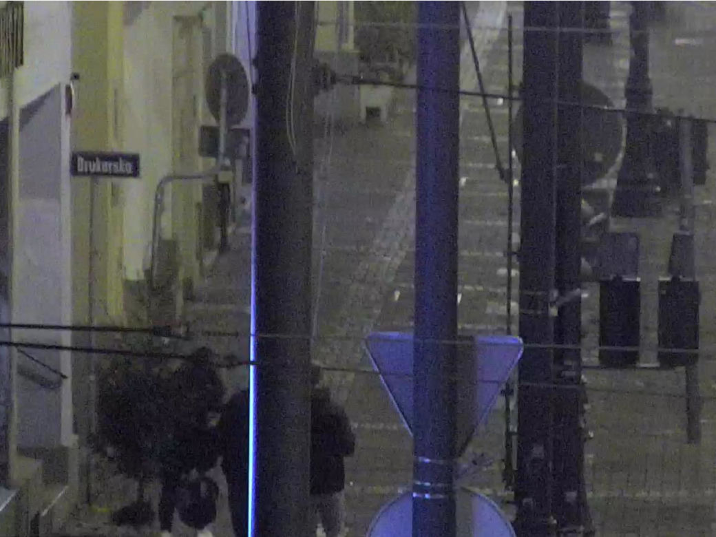 Spacerowali po Bydgoszczy z ukradzioną choinką! Interweniowała policja [ZDJĘCIA]