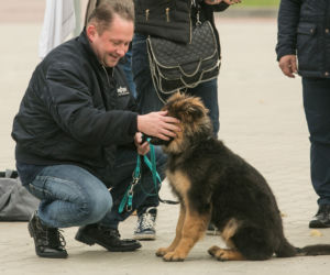 Kamil Durczok