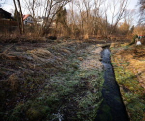 Zabójstwo 11-latki w Jeleniej Górze