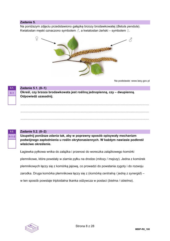 Matura próbna 2025: biologia rozszerzona. Odpowiedzi + arkusze CKE (10.12.24)