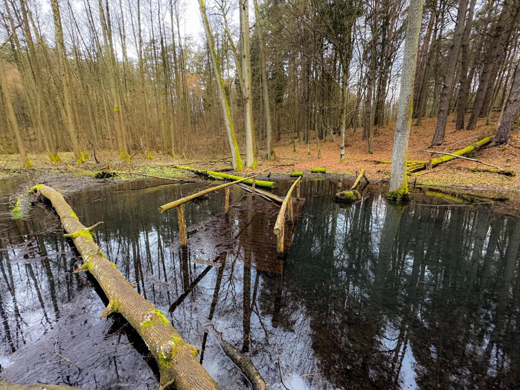 Rzeka Łyna