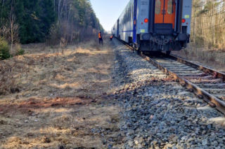 Tragedia na torach. Pociąg Intercity zderzył się z żubrami. Co z pasażerami?