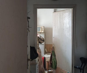 Dramat we Wrocławiu! Weszli do mieszkania i zamarli. Wszędzie były gołębie i odchody