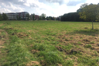 Łąki przy Kobierzyńskiej w Krakowie