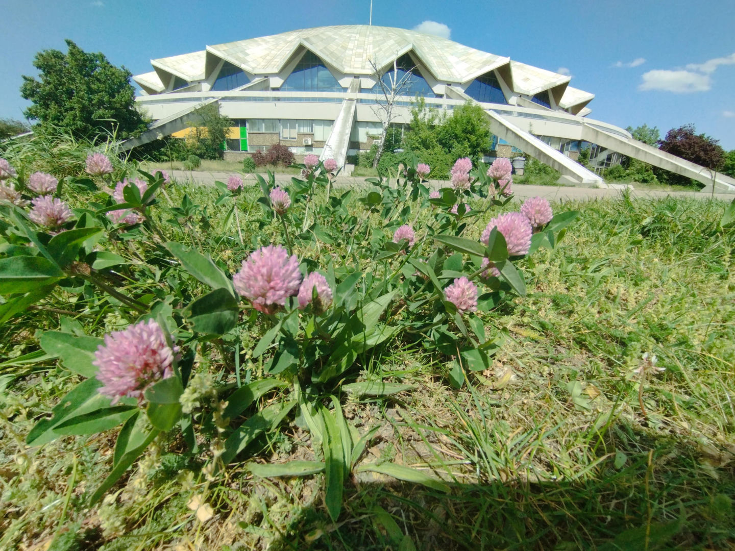 Hala Arena w Poznaniu