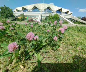 Hala Arena w Poznaniu