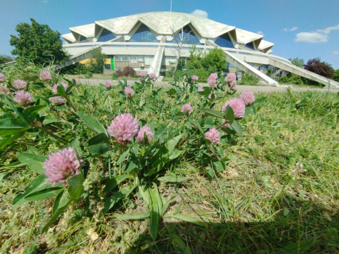Hala Arena w Poznaniu