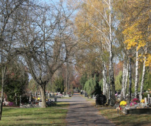 Wszystkich Świętych 2020. Przerażający widok z cmentarzy w Warszawie