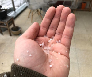 Burza śnieżna nad Warszawą 17.01. Białe zimno dopadło stolicę! Te dzielnice padły ofiarą