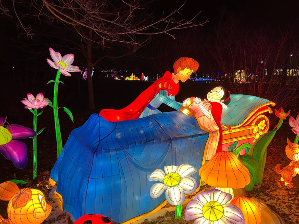 Garden of Lights w Szczecinie