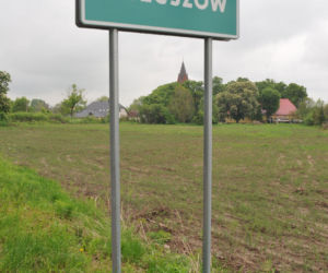 Martwe dzieci w Strzeszowie