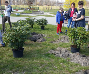 Nowe drzewa i krzewy w Parku Polisensorycznym