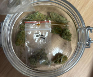 20 zarzutów za paserstwo. Rozbierali auta pod Wołominem. Kobra likwiduje samochodową dziuplę!