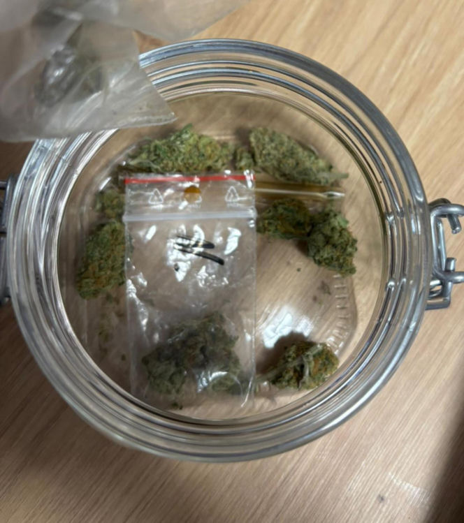 20 zarzutów za paserstwo. Rozbierali auta pod Wołominem. "Kobra" likwiduje samochodową dziuplę!