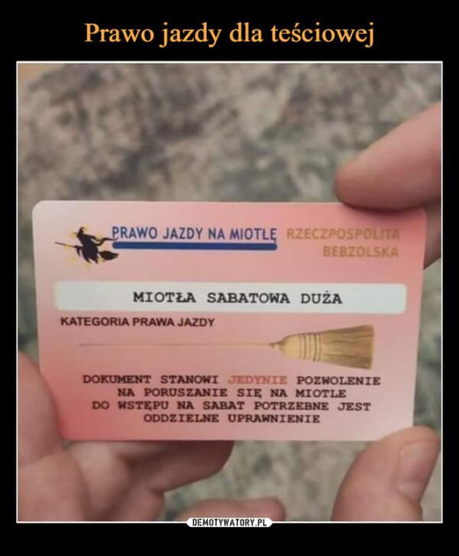 Tych memów o teściowych nie pokażesz mamie! Internauci nie mają litości