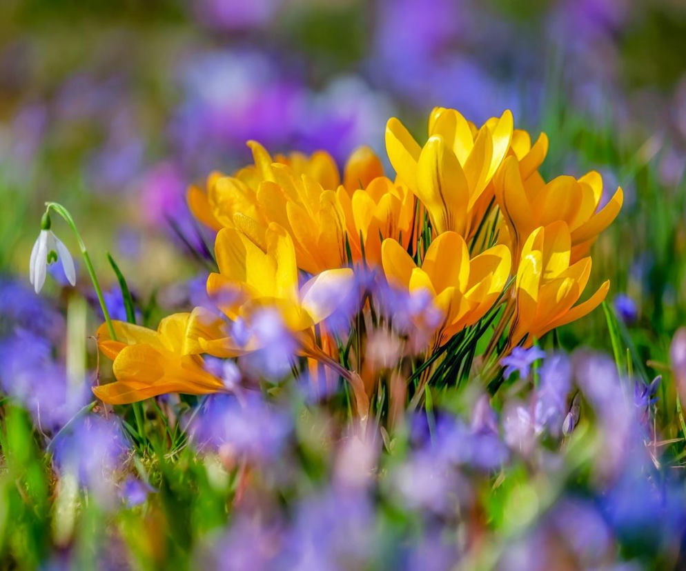 Każdy może wykonać Wiosenny Przegląd Zdrowia 