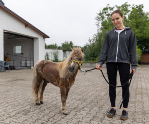 Kupili kucyka dzieciom, a potem o niego nie dbali