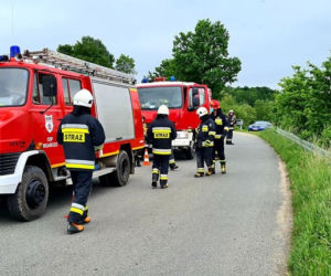 Wypadek w powiecie strzelińskim: Volkswagen wypadł z drogi i wpadł do rzeki