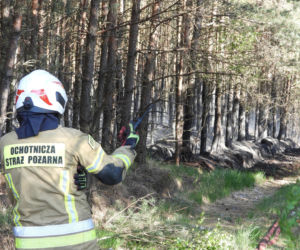 Strażacy walczą z potężnym pożarem na Mazowszu