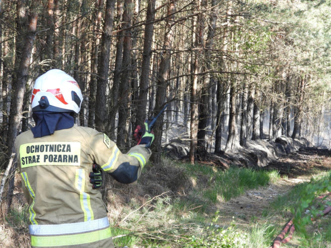 Strażacy walczą z potężnym pożarem na Mazowszu