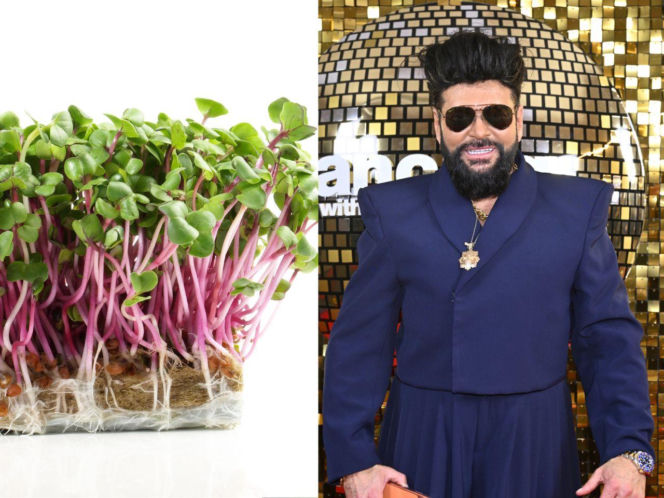 Rzeżuchy które wyglądają jak Krzysztof Rutkowski i jego legendarne fryzury