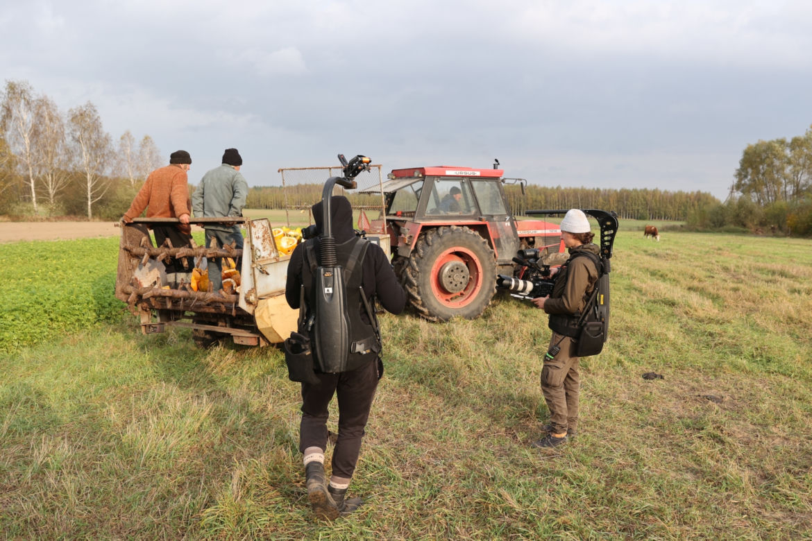 Rolnicy. Podlasie. Gienek, Andrzej i Sławek w Deniskach. Odbierają dynie