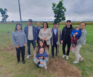 sadzenie drzew w Kraszewicach 2026