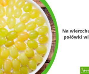 Sałatka TIFFANY