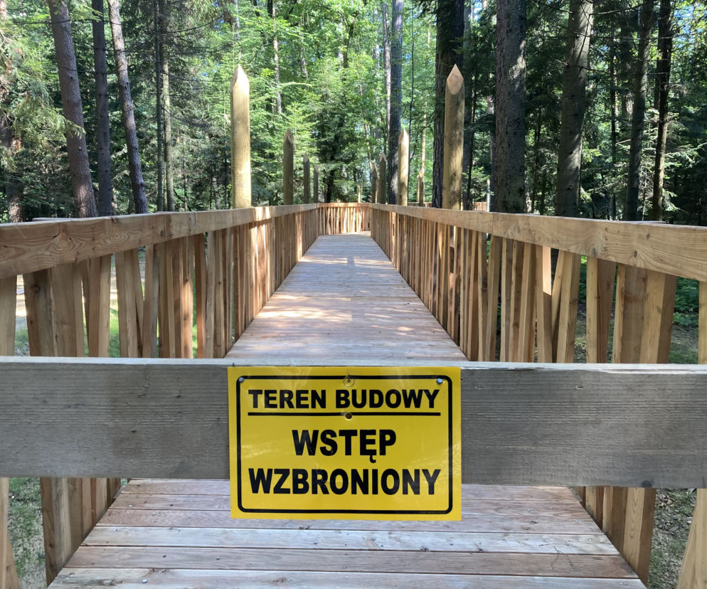 Leśne molo na Miejskiej Górze w Starym Sączu