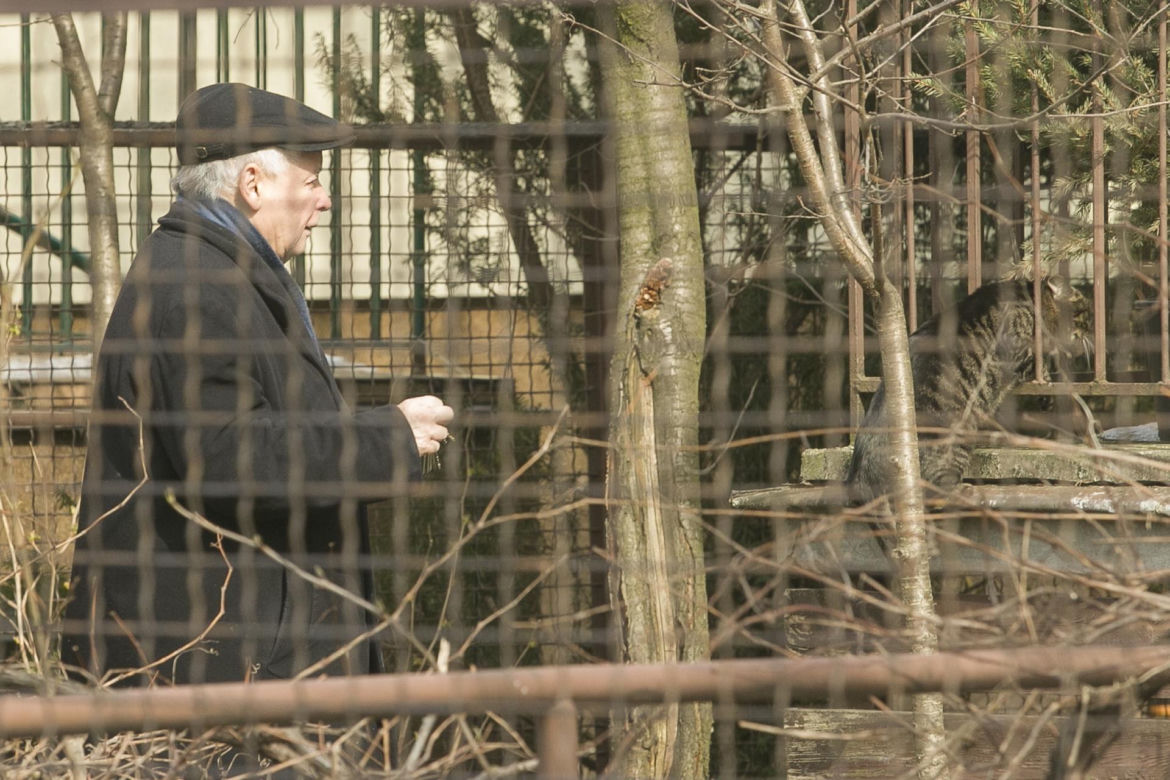 Jarosław Kaczyński