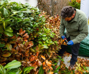 Wiosenne porządki w ogrodzie